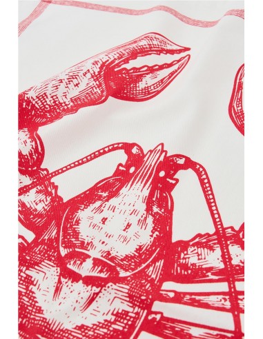 PAÑO  COCINA LANGOSTA