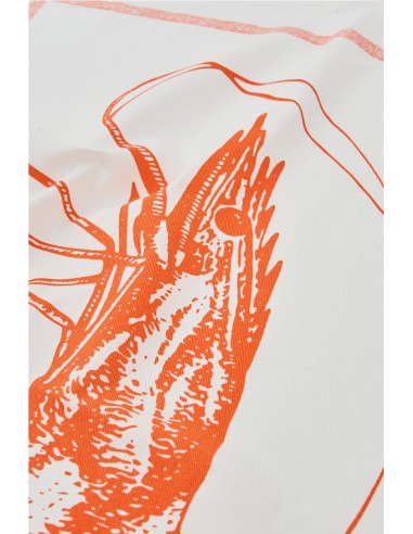 PAÑO DE COCINA GAMBA