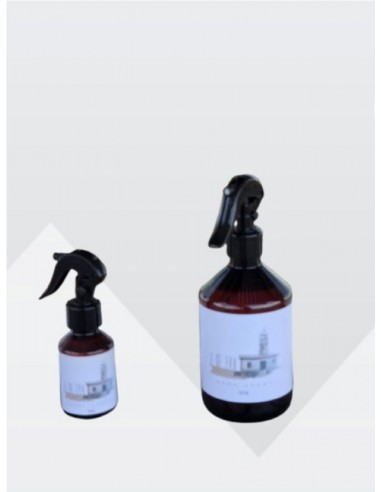 AMBIENTADOR A DE EVA 500 ML