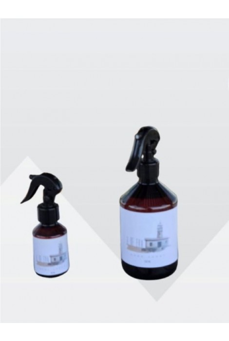 AMBIENTADOR A DE EVA 50 ML 2