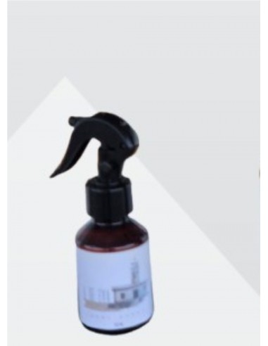 AMBIENTADOR A DE EVA 100 ML