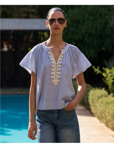 CLEMATIS BLUE STRIPES