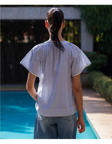 CLEMATIS BLUE STRIPES